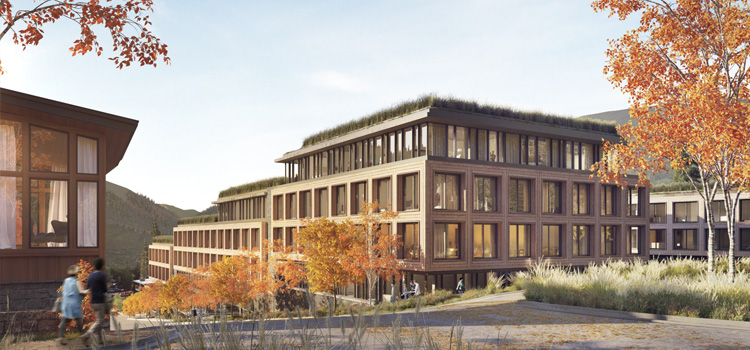 Chalet Alpina Real Estate Opportunity