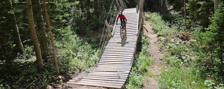 Downhill mountain biking in Aspen