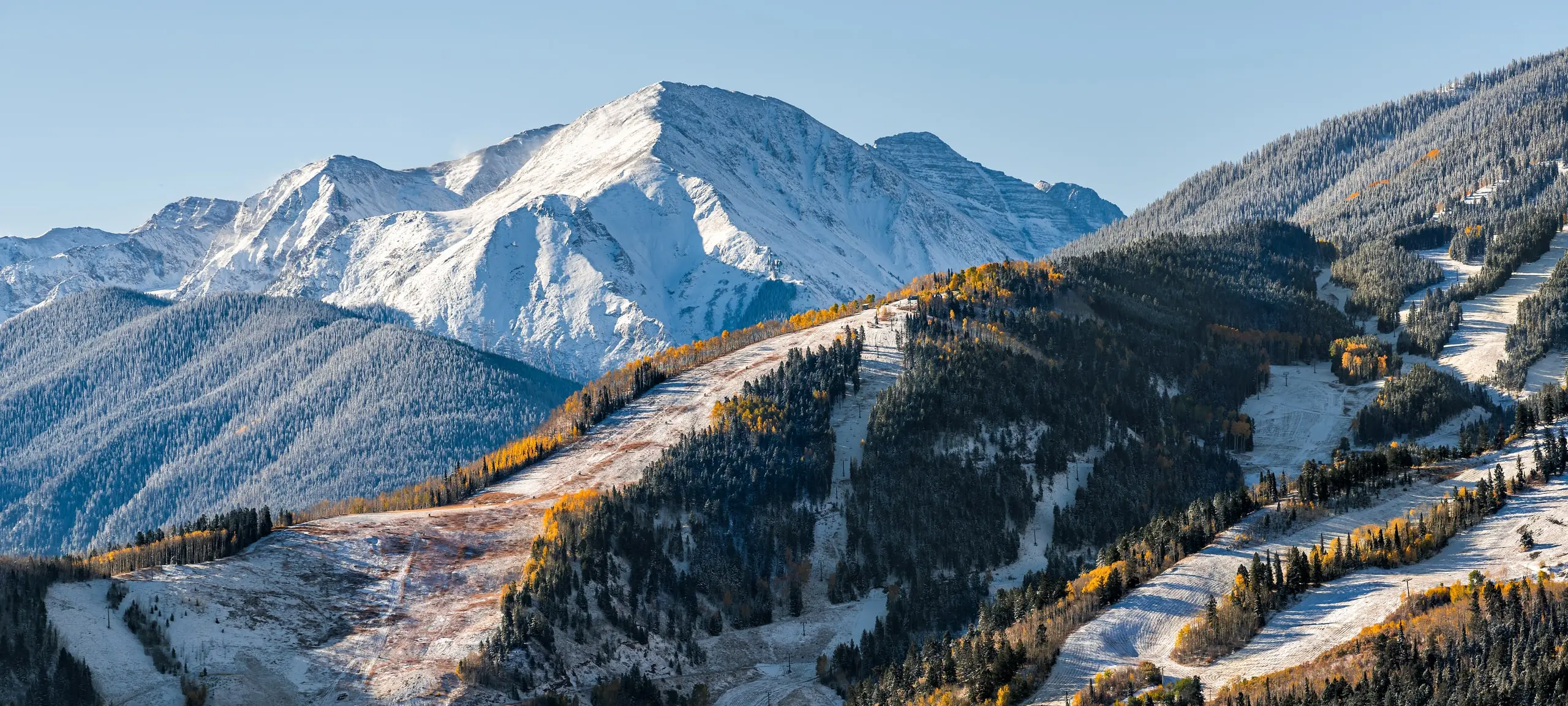 Mountain ridge with yellow wildflowers in Aspen, CO