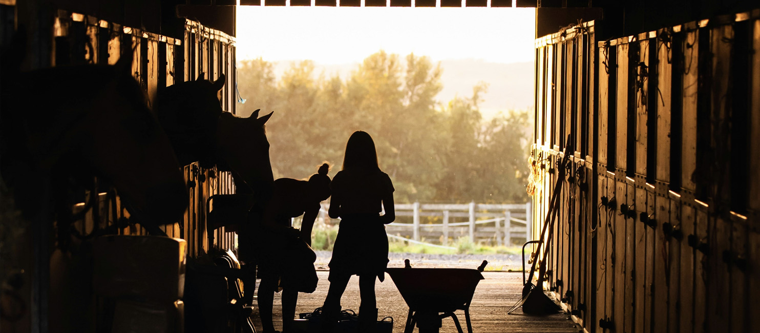Equestrian real estate in Aspen