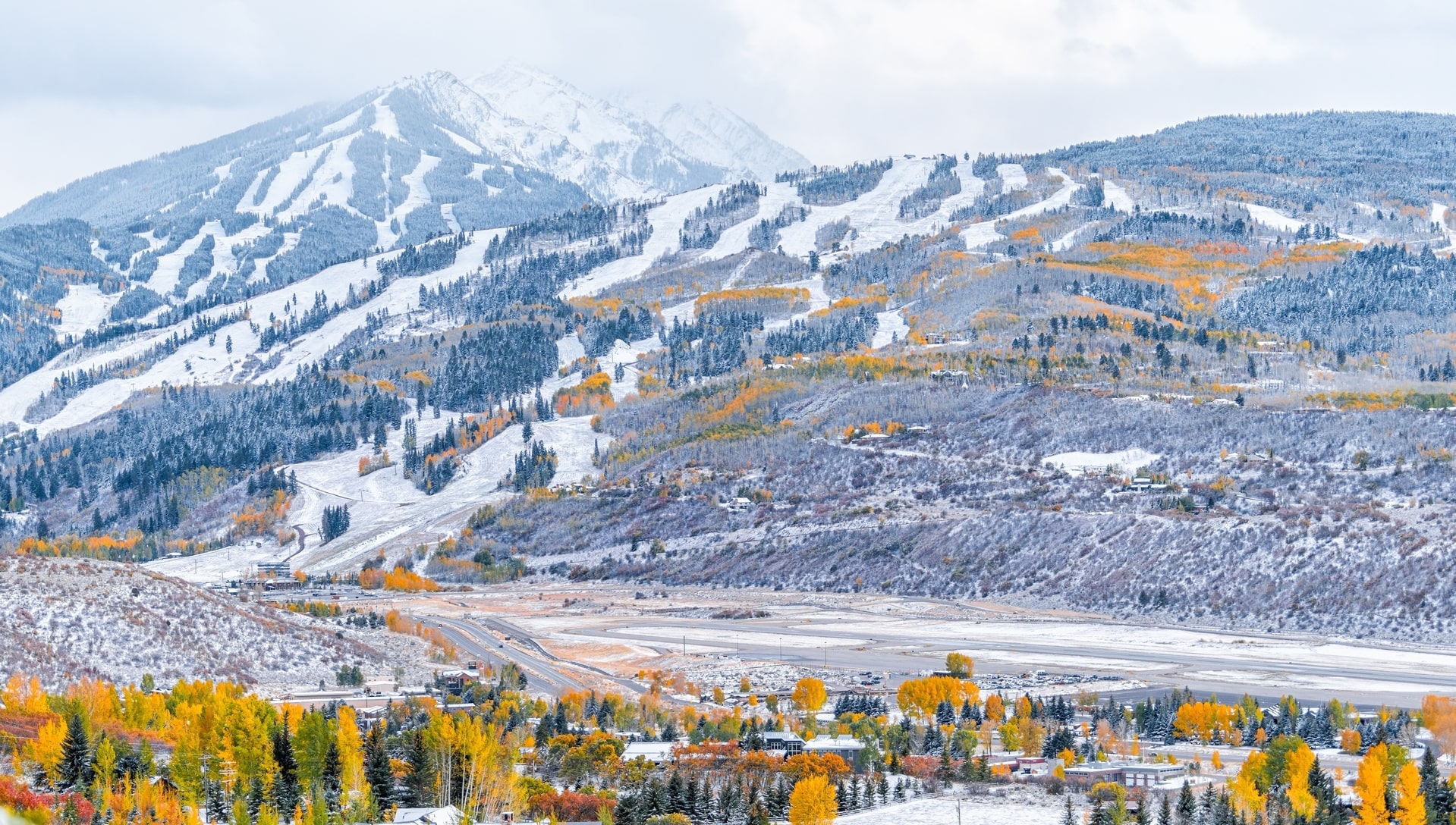 Yellow Aspen trees on snowy Aspen mountain