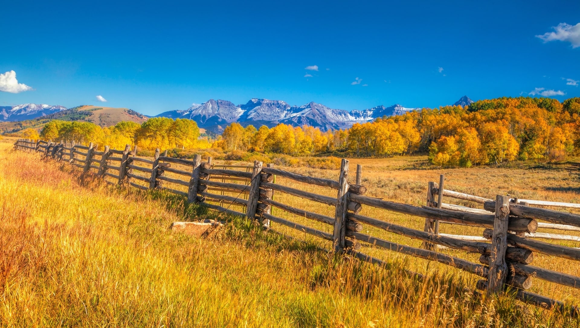 Autumn road with fence outside of Aspen